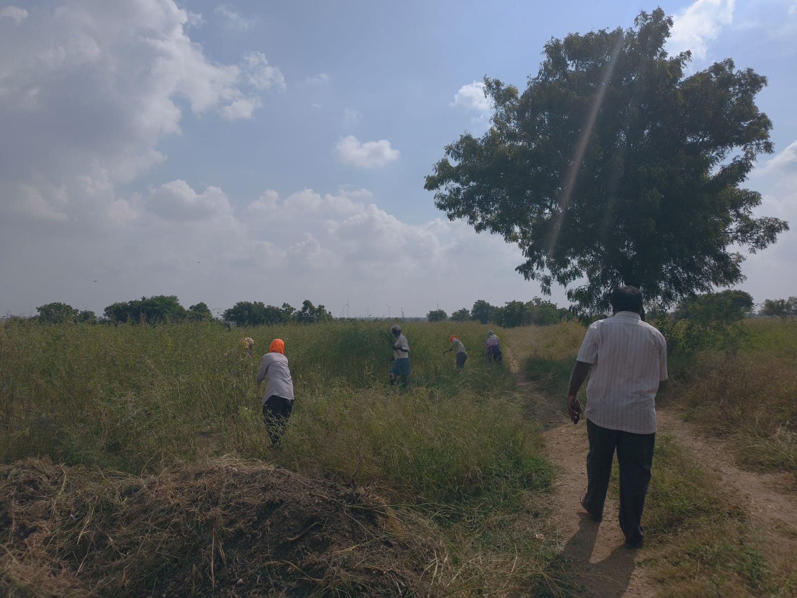 Team celebration photo